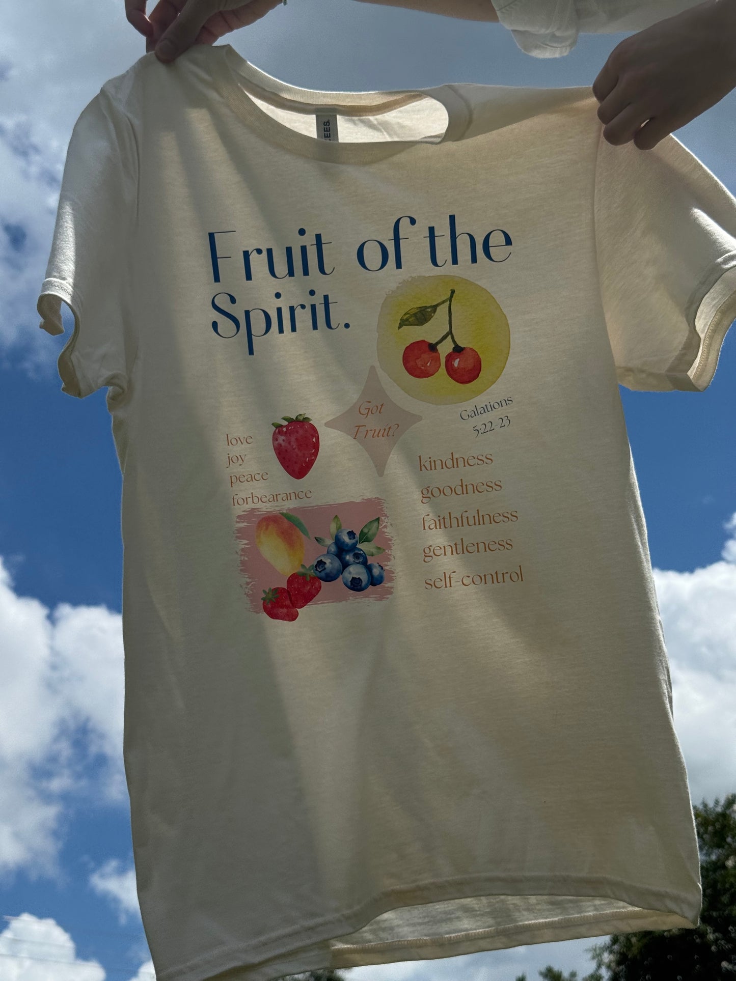 Fruits of the spirit tee