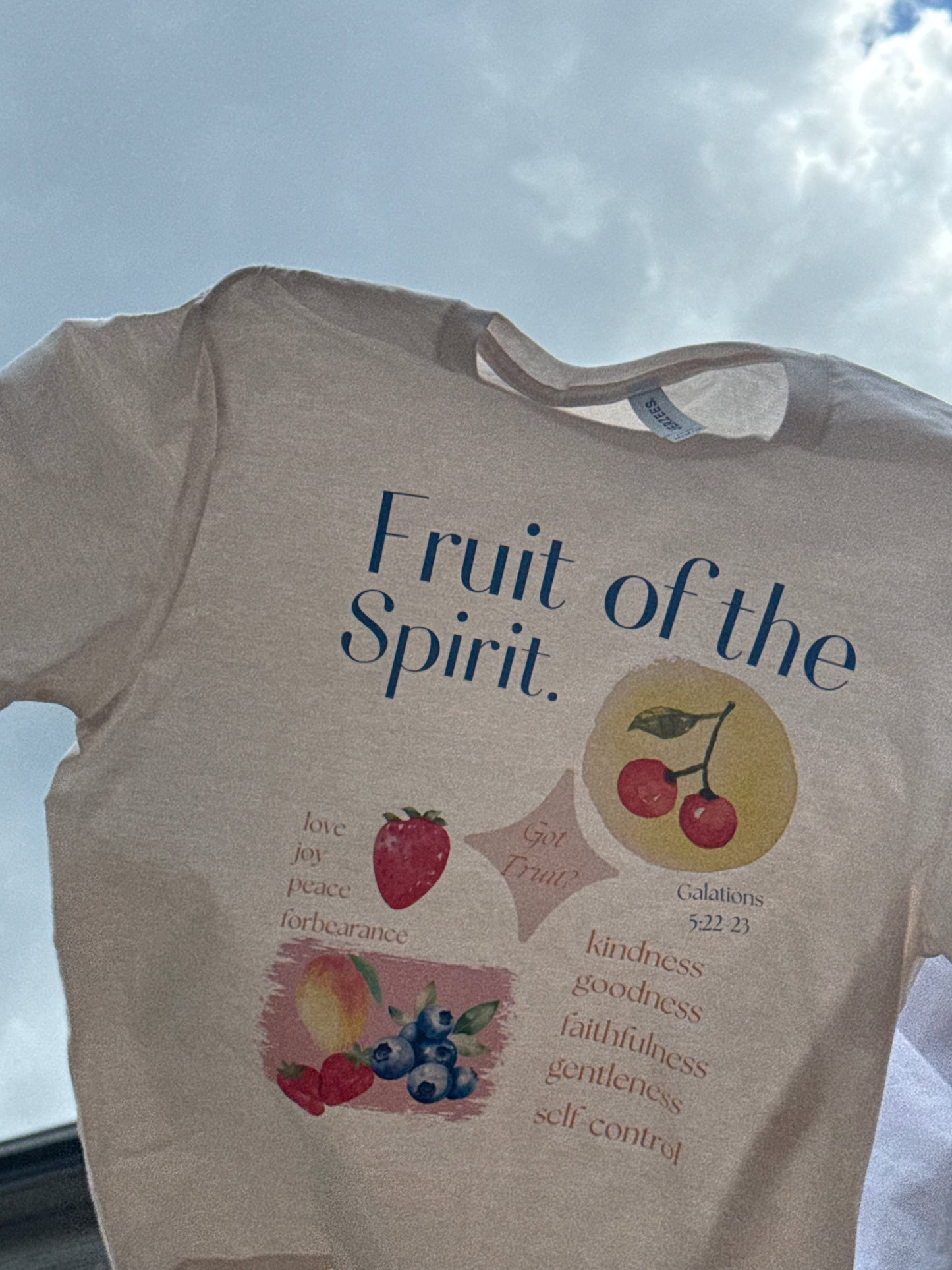 Fruits of the spirit tee