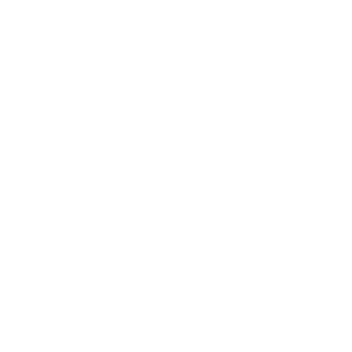 The Bold Kind logo